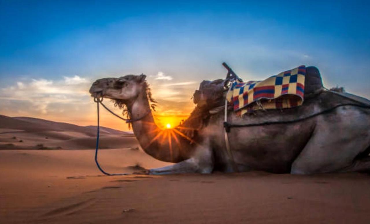 Holiday Desert Camp Merzouga Dış mekan fotoğraf